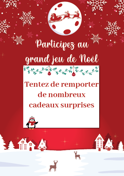 Participez Au Grand Jeu-concours De Noël ! - Place D'Armes Centre ...